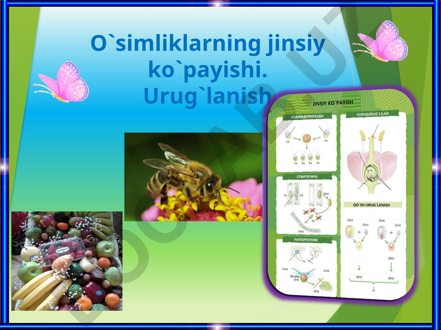 O'simliklarning jinsiy ko'payishi va urug'lanishi
