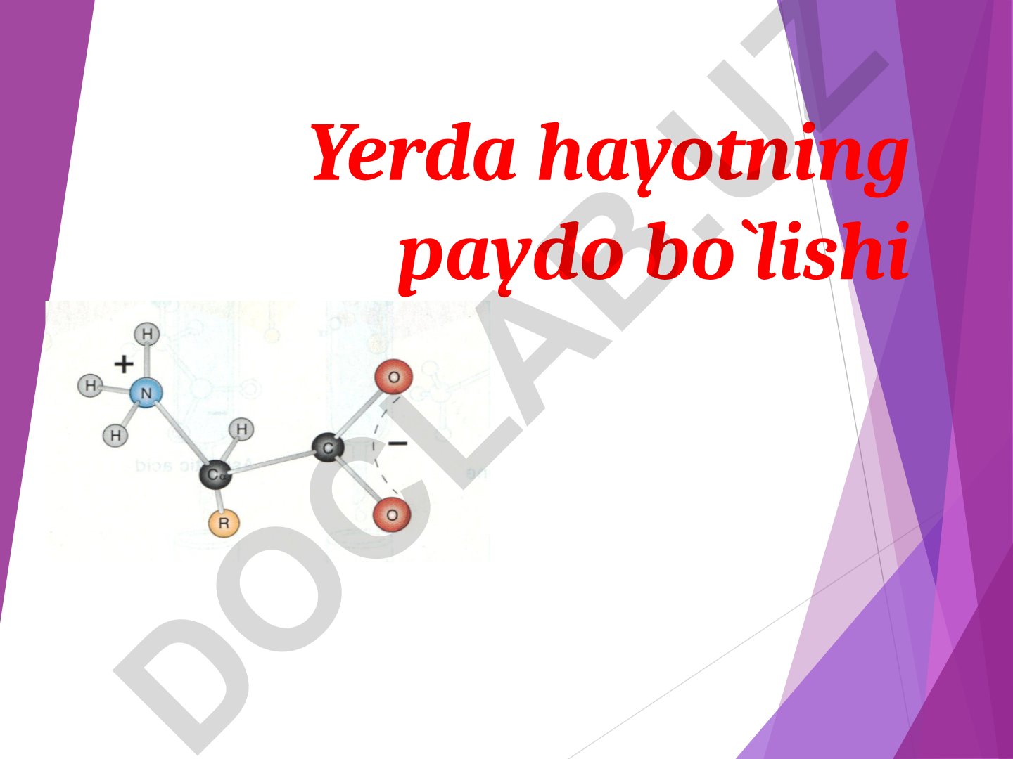 Yerda hayotning paydo bo'lishi va biologik sistemalar