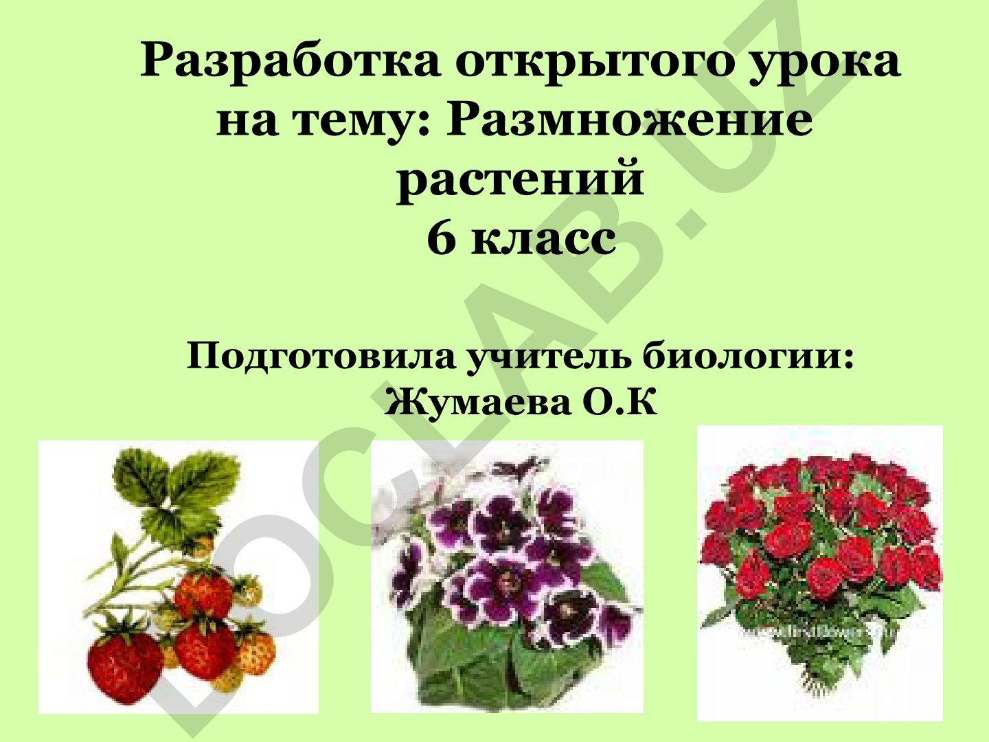 Размножение растений 6 класс