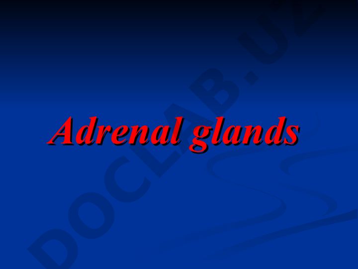 Adrenal glands structure and hormone secretion