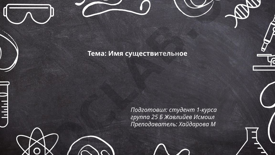 Имя существительное