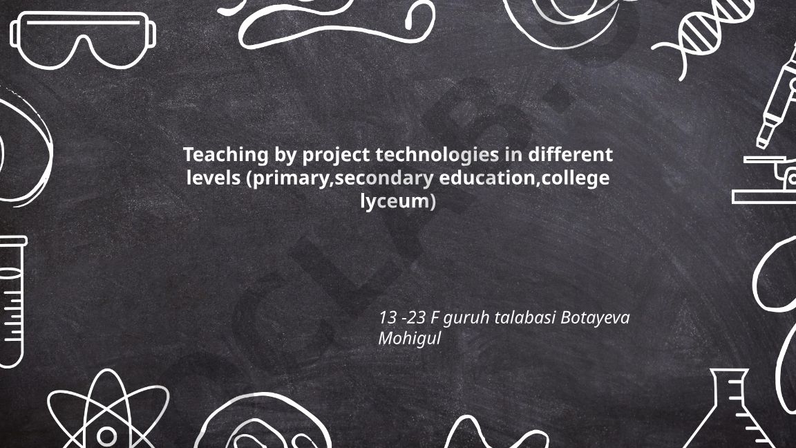 Teaching by project technologies in different education levels