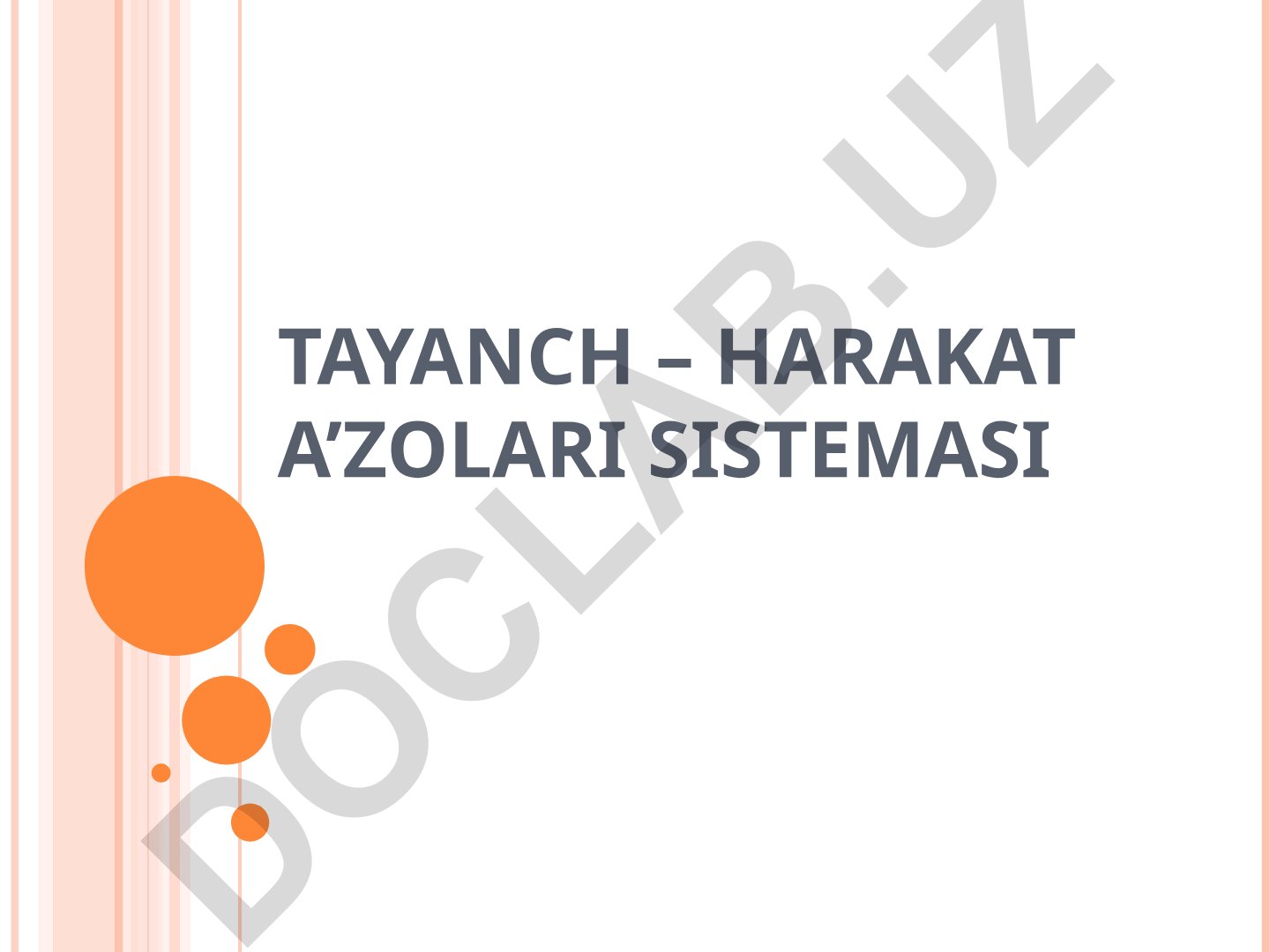 Tayanch-harakat sistemasi va suyaklar tuzilishi