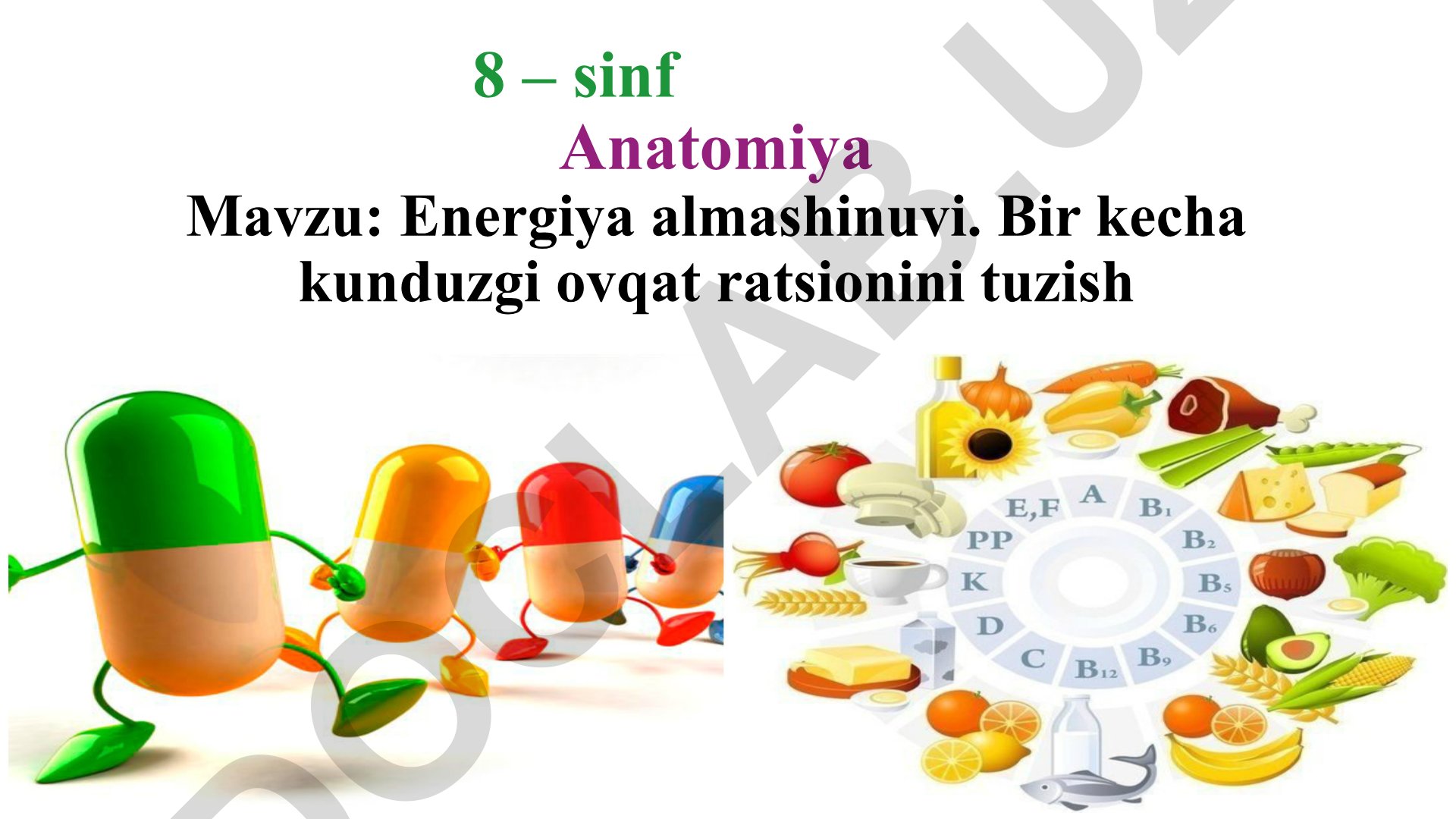 Energiya almashinuvi va bir kecha kunduzgi ovqat ratsionini tuzish