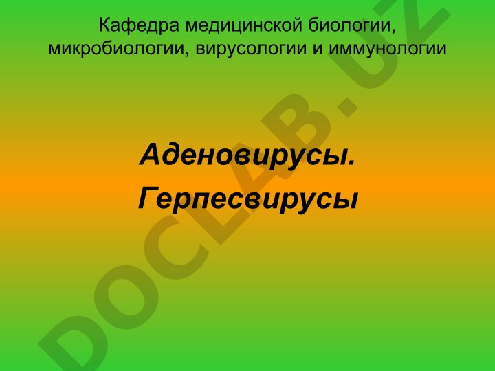 Аденовирусы и герпесвирусы: классификация, история открытия и клинические проявления