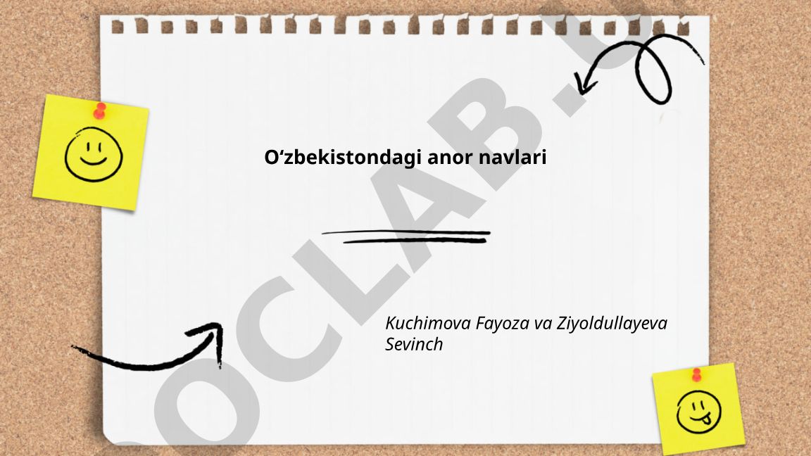 Oʻzbekistondagi anor navlari