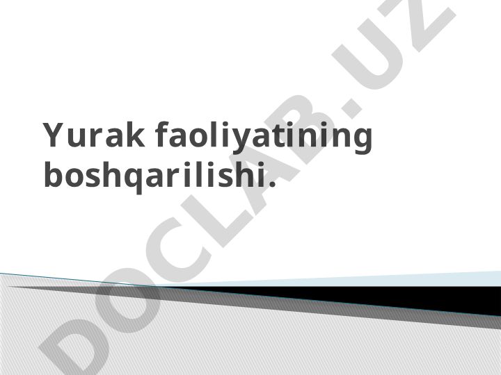 Yurak faoliyatining boshqarilishi va anatomiyasi