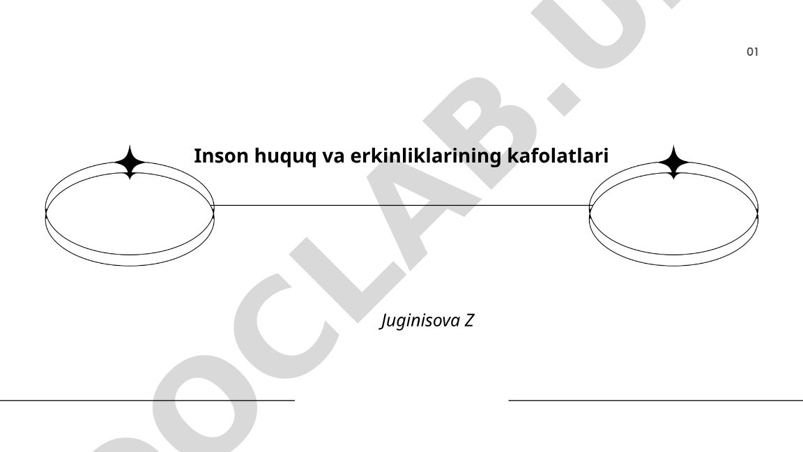 Inson huquq va erkinliklarining kafolatlari