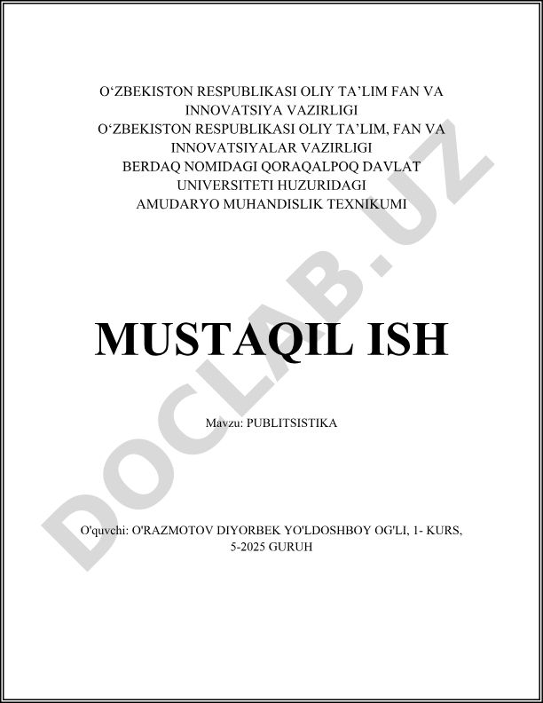 Publitsistika