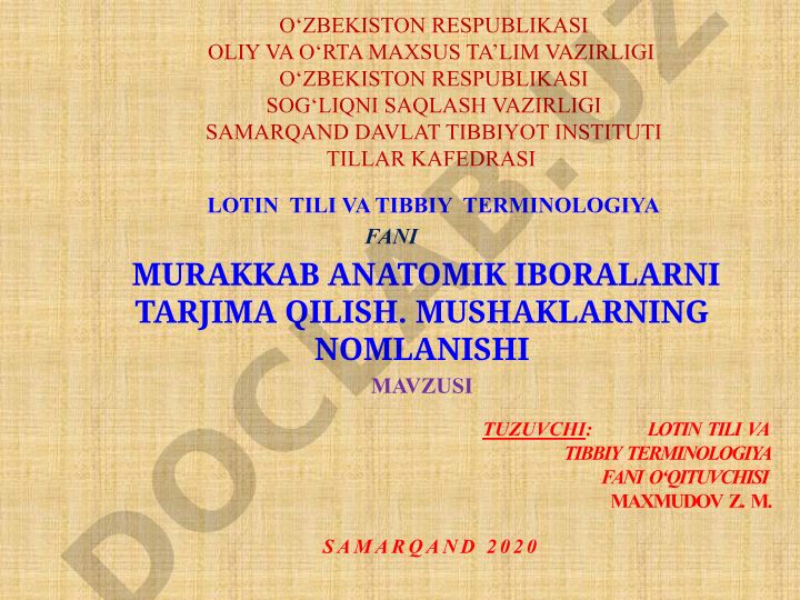 Murakkab anatomik iboralarni tarjima qilish va mushaklarning nomlanishi