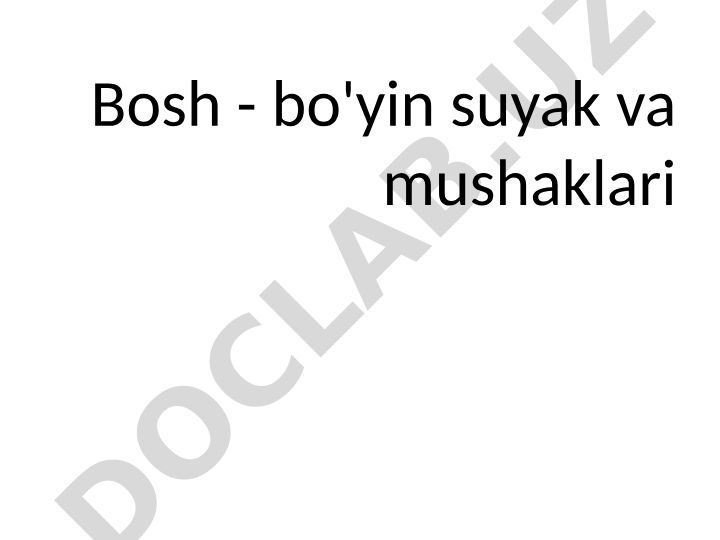 Bosh - bo'yin suyak va mushaklarining anatomiyasi