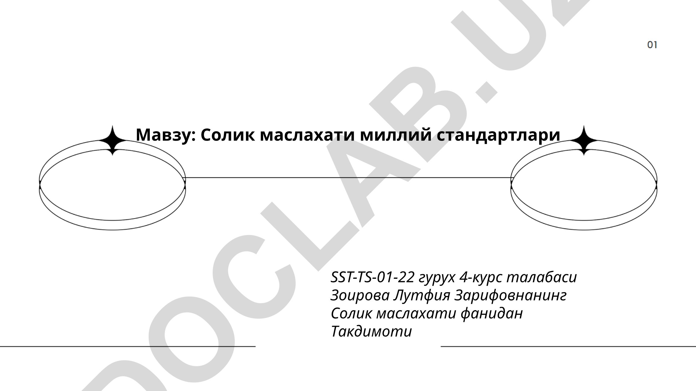Солик маслахати миллий стандартлари
