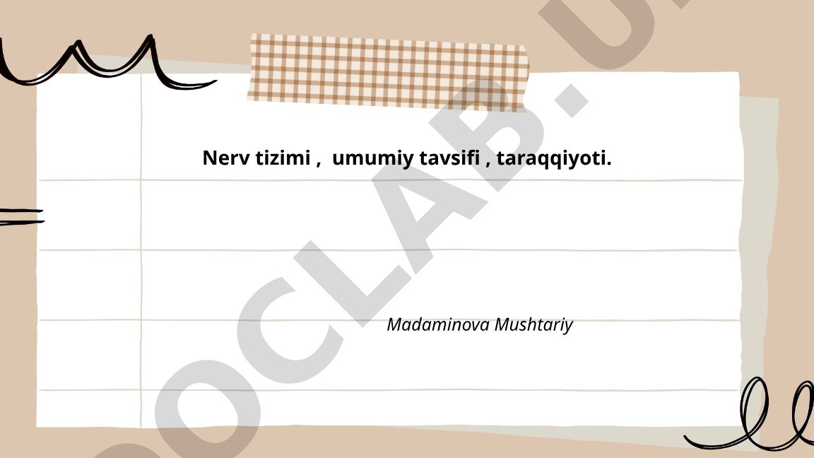 Nerv tizimining umumiy tuzilishi va funksiyalari