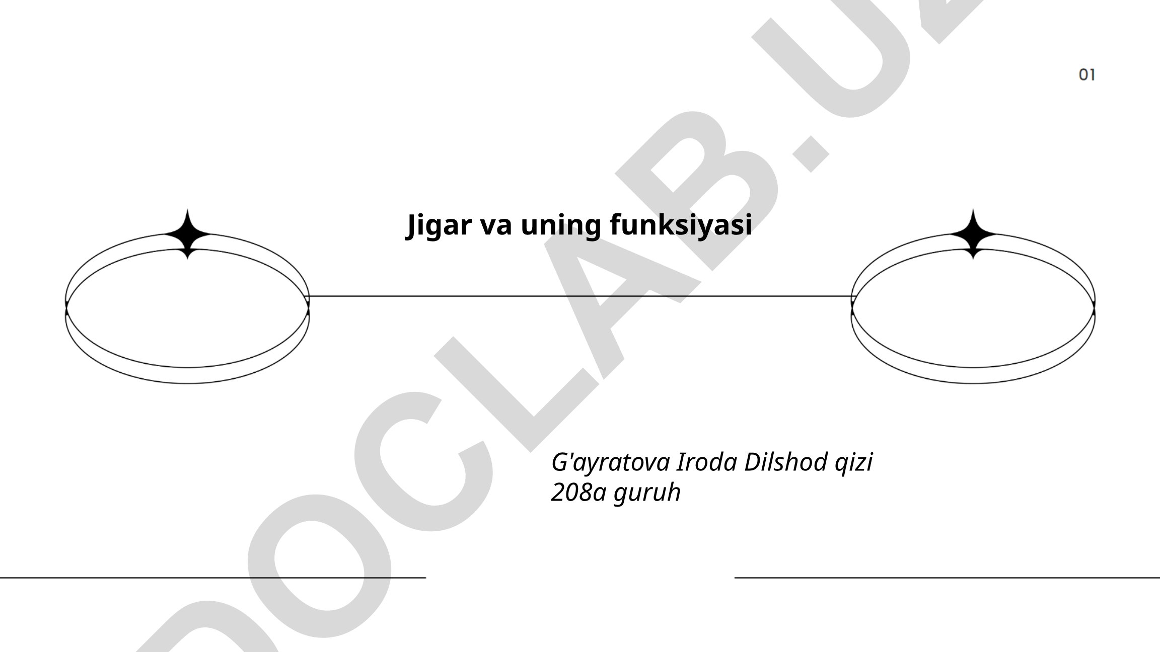 Jigar va uning funksiyasi