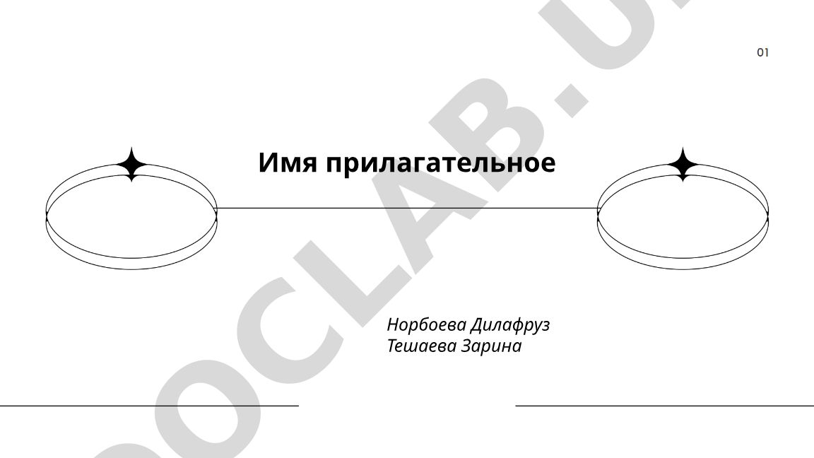 Имя прилагательное в русском языке