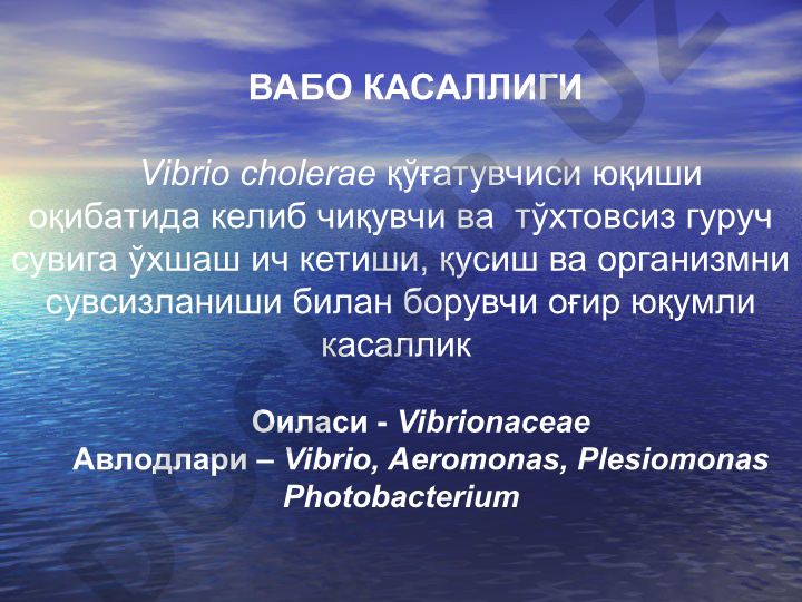 Vibrio cholerae va vabo kasalligi haqida