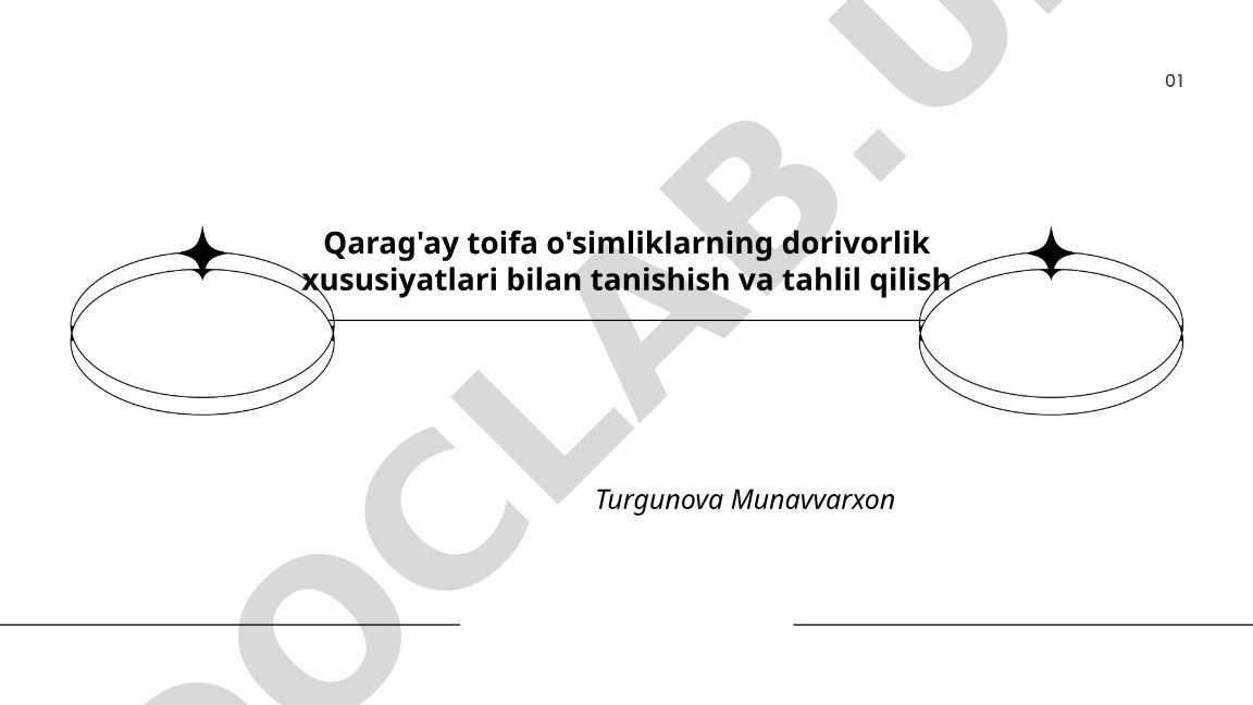 Qarag'ay toifa o'simliklarning dorivorlik xususiyatlari