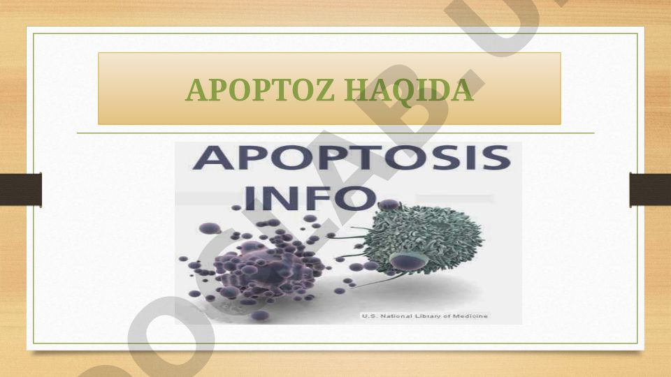 Apoptoz jarayoni va uning ahamiyati
