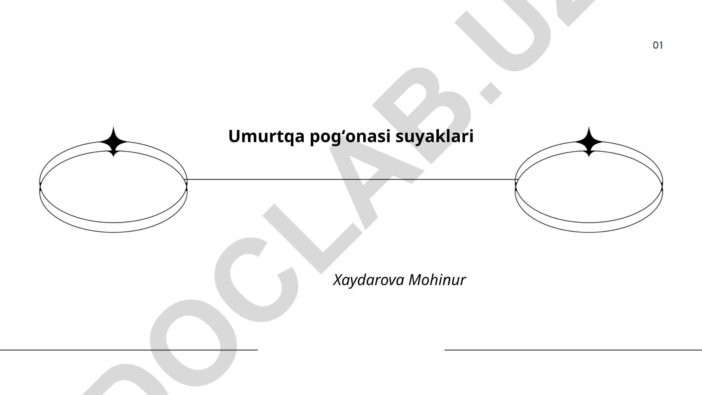 Umurtqa pogʻonasi anatomiyasi va vazifalari
