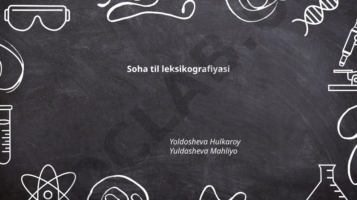 Soha til leksikografiyasi: nazariy asoslar va terminologik lug'atlar