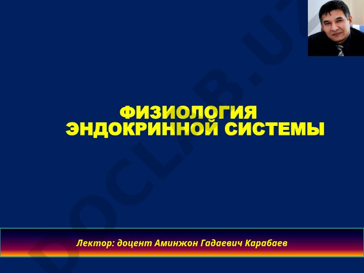 Физиология эндокринной системы