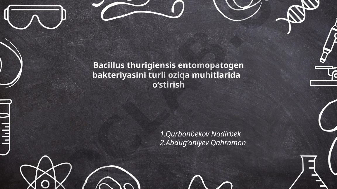 Bacillus thuringiensis entomopatogen bakteriyasini turli oziqa muhitlarida o'stirish