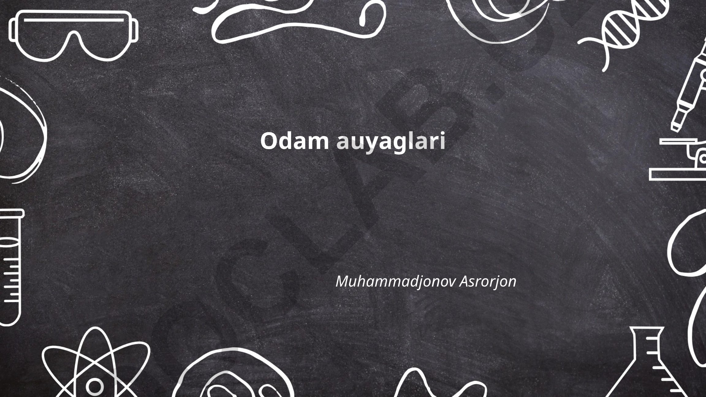 Odam anatomiyasi, yurak va qon aylanish tizimi