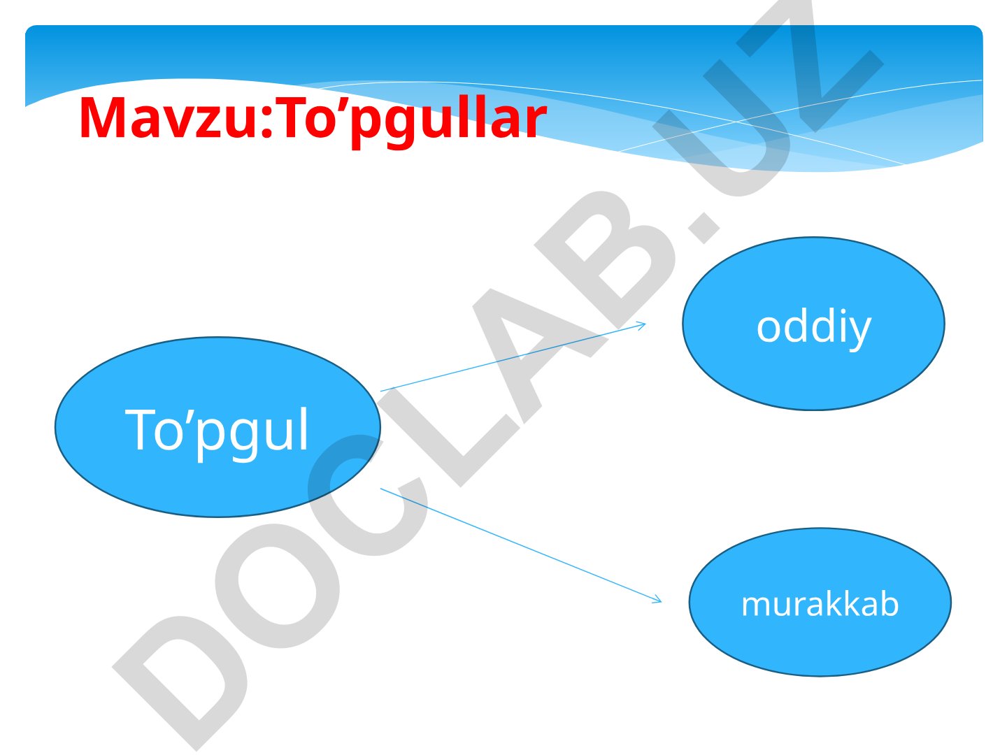 To'pgullar: oddiy va murakkab turlari