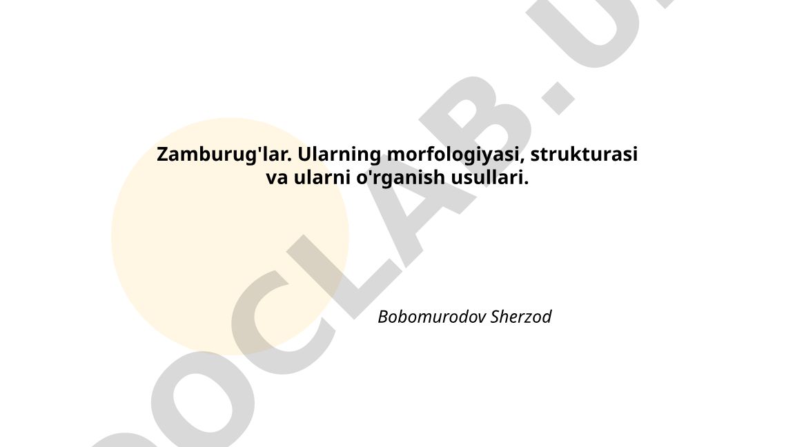 Zamburug'lar: morfologiyasi, strukturasi va o'rganish usullari