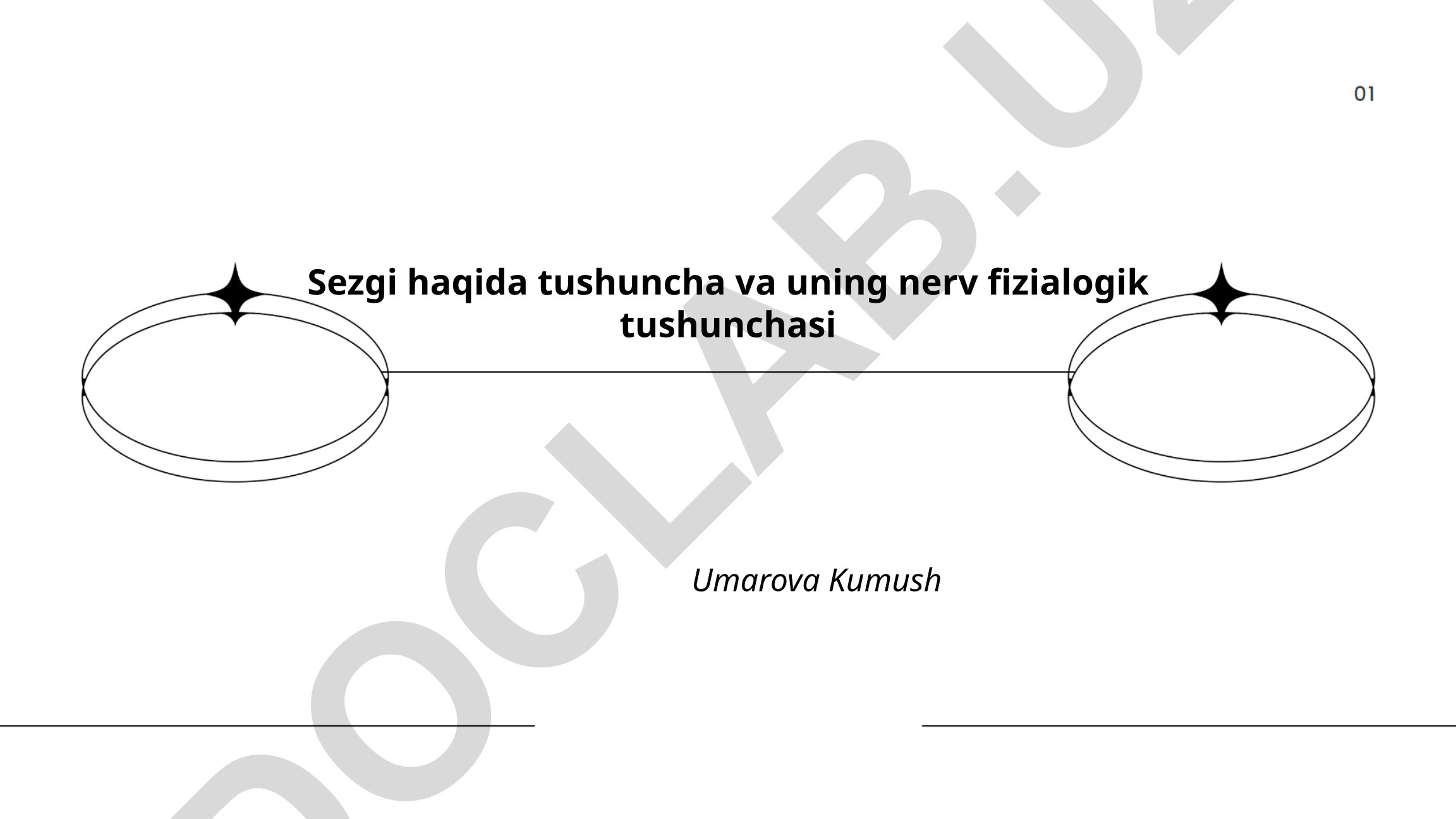 Sezgi haqida tushuncha va uning nerv fiziologik tushunchasi
