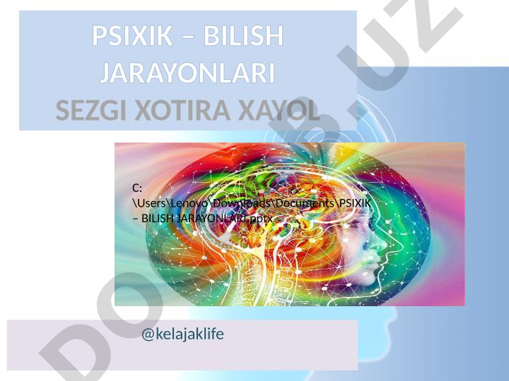 Psixik bilish jarayonlari: sezgi, xotira va xayol