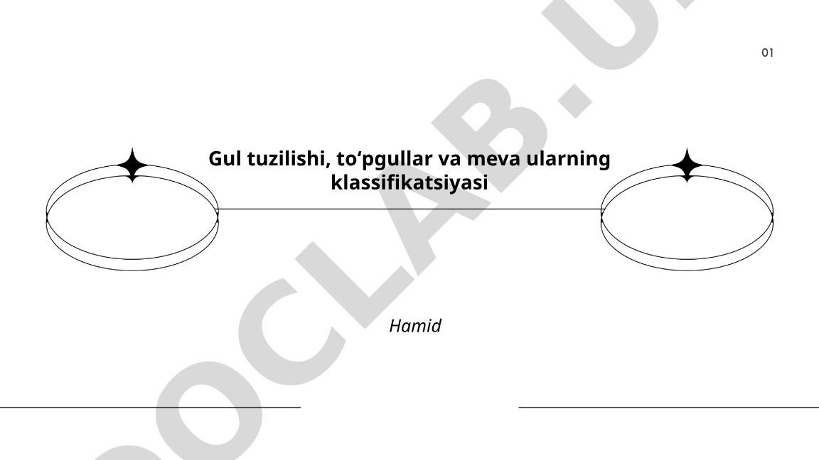 Gul tuzilishi, toʻpgullar va meva ularning klassifikatsiyasi