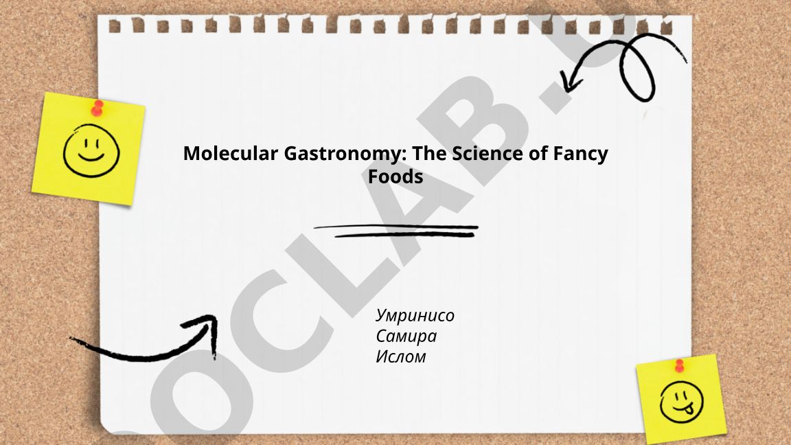 Molecular Gastronomy: The Science of Fancy Foods
