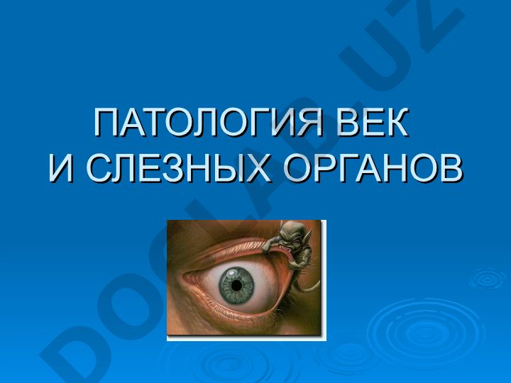 Воспалительная патология век и слезных органов