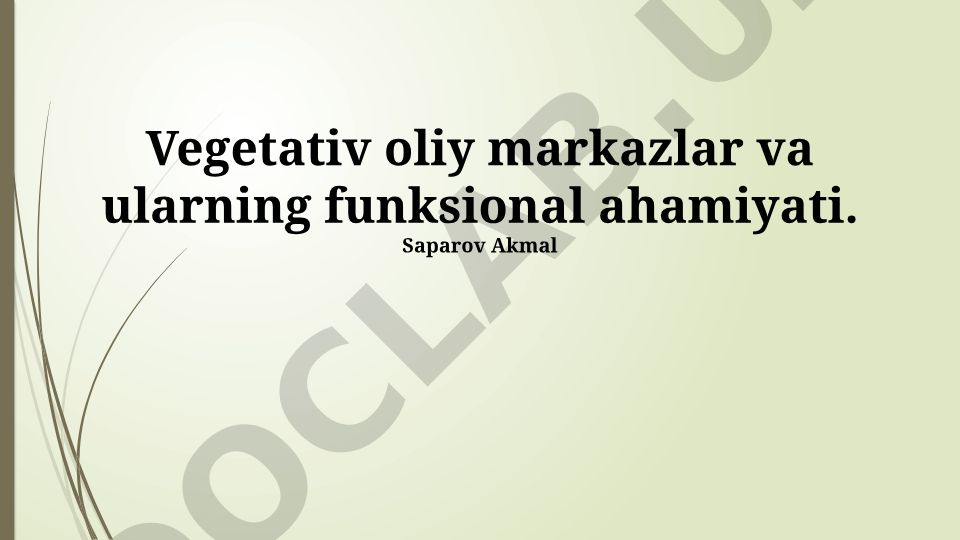 Vegetativ oliy markazlar va ularning funksional ahamiyati