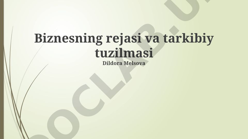 Biznes-reja va tashkiliy tuzilma