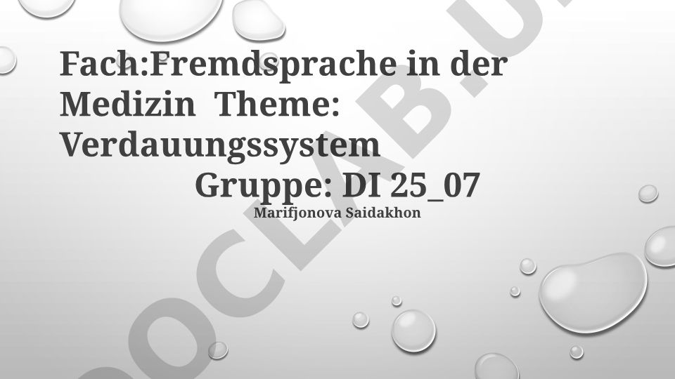 Verdauungssystem: Medizinische Terminologie, Anatomie und Erkrankungen