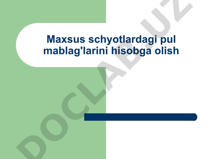 Maxsus schyotlardagi pul mablag'larini hisobga olish
