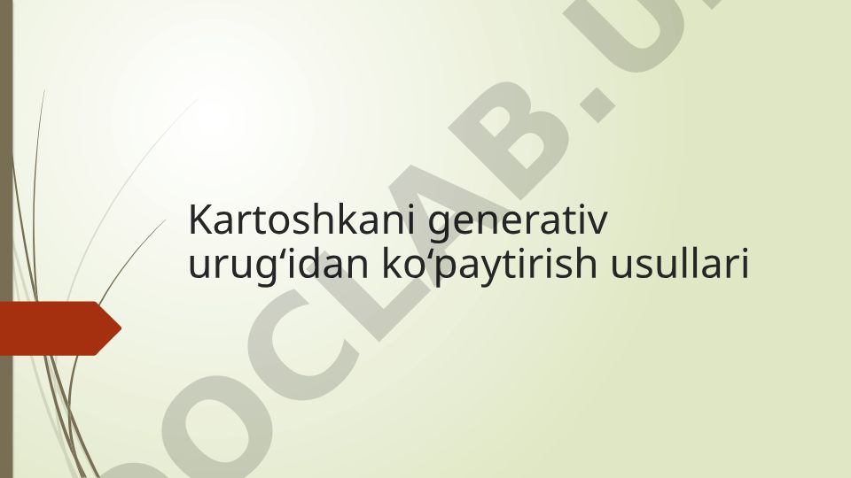 Kartoshkani generativ urug‘idan ko‘paytirish usullari