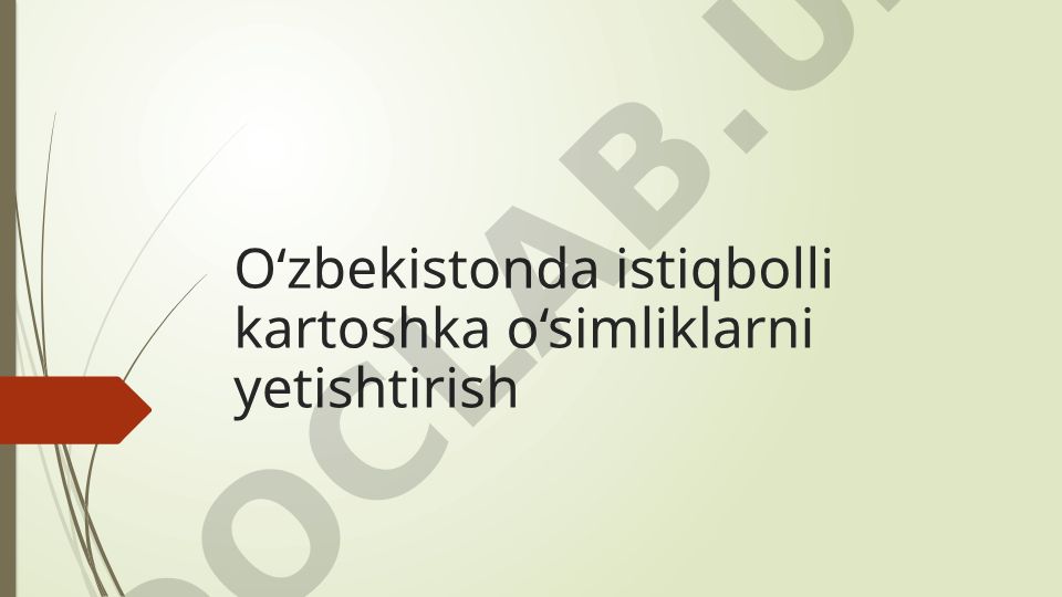 O‘zbekistonda istiqbolli kartoshka navlarini yetishtirish va in-vitro texnologiyalari