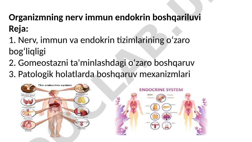 Organizmning nerv immun endokrin boshqariluvi