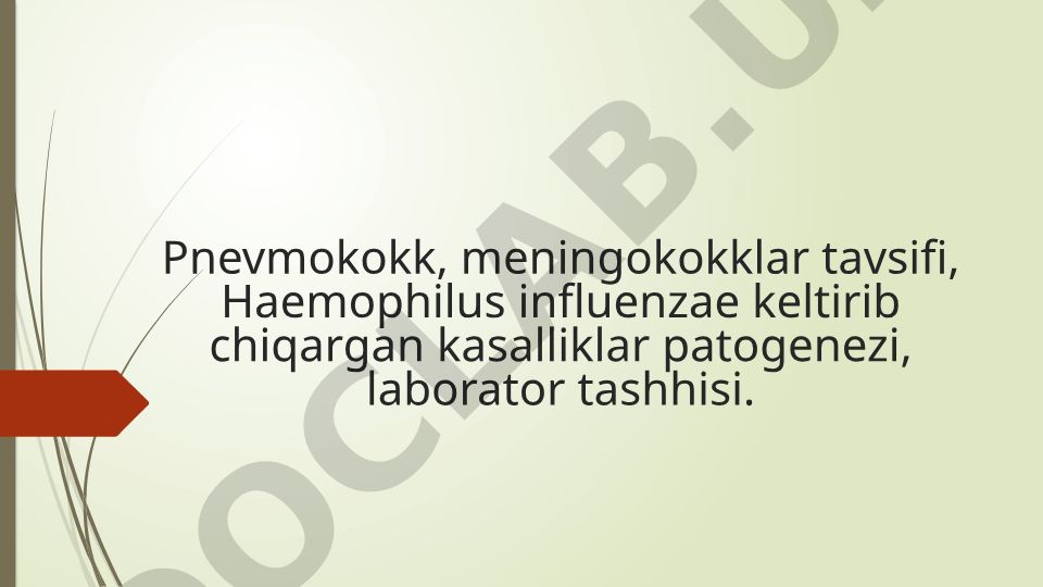 Pnevmokokk, meningokokklar va Haemophilus influenzae kasalliklari