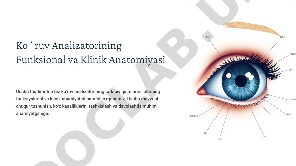 Koʻruv analizatorining funksional va klinik anatomiyasi
