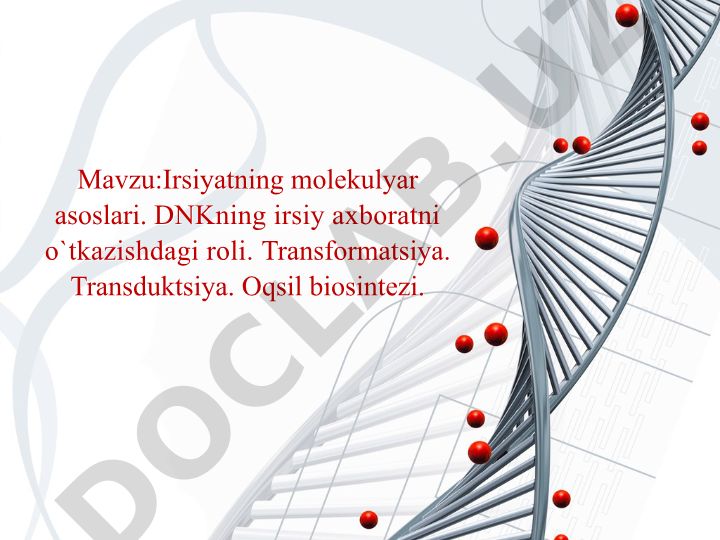 Irsiyatning molekulyar asoslari. DNKning irsiy axboratni o`tkazishdagi roli. Transformatsiya. Transduktsiya. Oqsil biosintezi