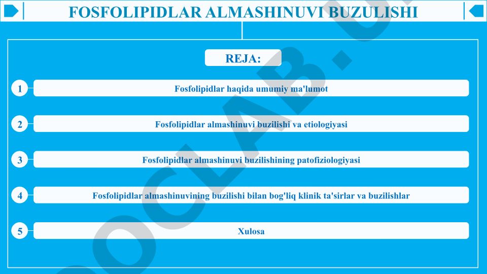 Fosfolipidlar almashinuvi buzilishi