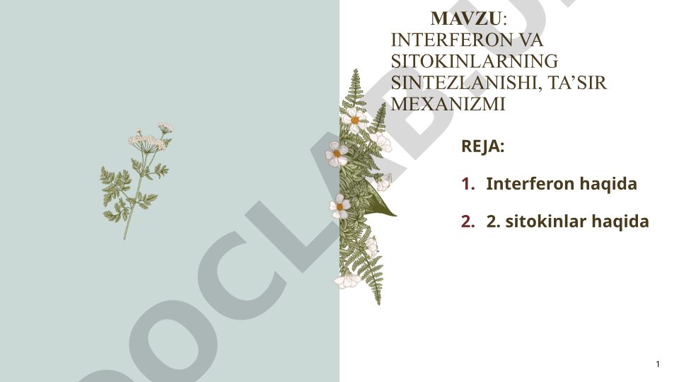 Interferon va sitokinlarning sintezlanishi, ta'sir mexanizmi