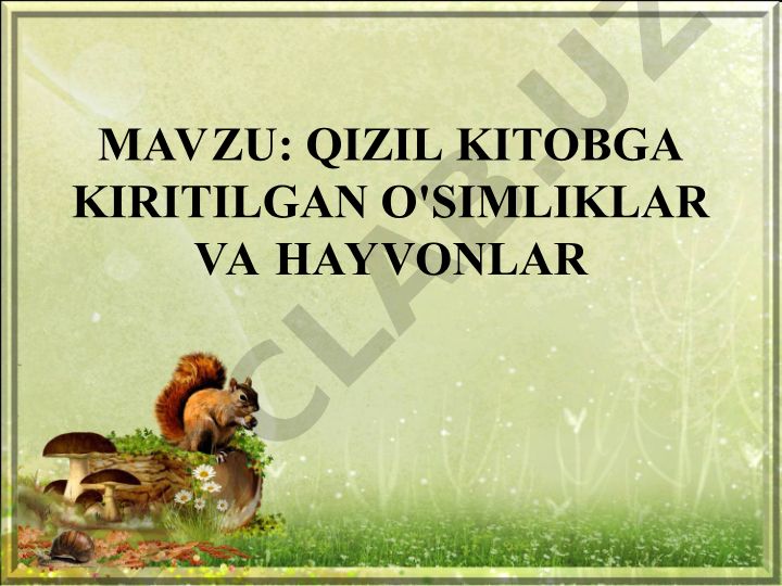 Qizil kitobga kiritilgan o'simliklar va hayvonlar