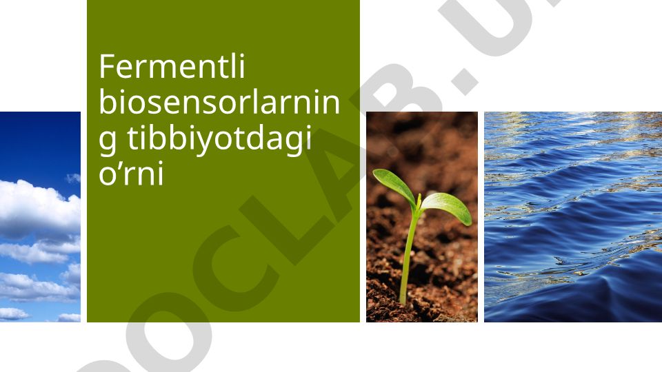 Fermentli biosensorlarning tibbiyotdagi o’rni