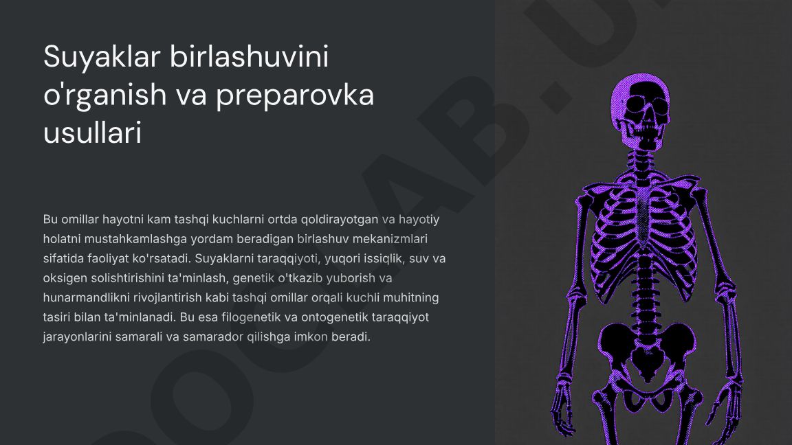 Suyaklar birlashuvini o'rganish va preparovka usullari