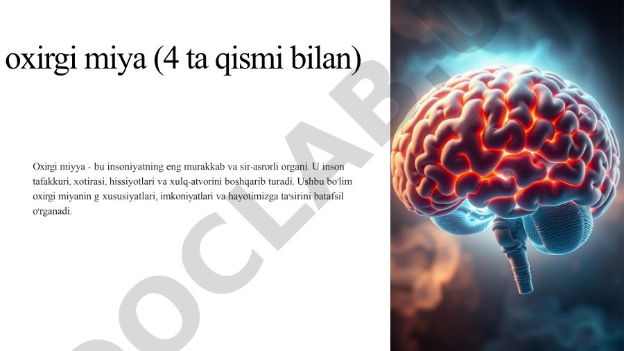 Oxirgi miyaning xususiyatlari va imkoniyatlari
